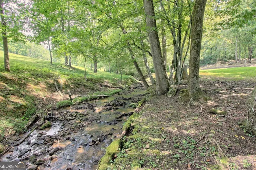 299 Old Homestead LN Hayesville, NC 28904