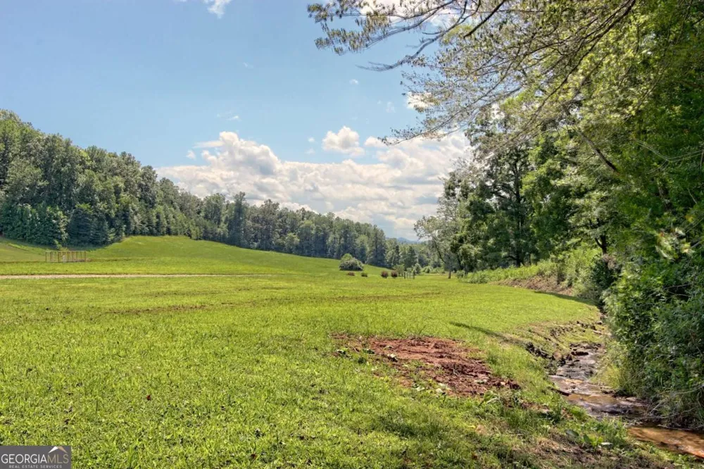 299 Old Homestead LN Hayesville, NC 28904