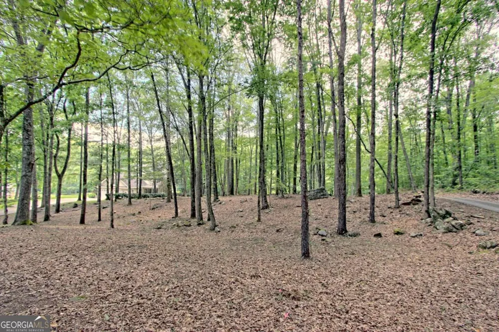 299 Old Homestead LN Hayesville, NC 28904