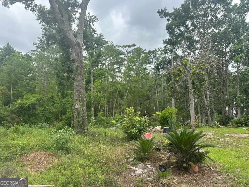 LOT 26 Cypress Lakes DR Lake Park, GA 31636
