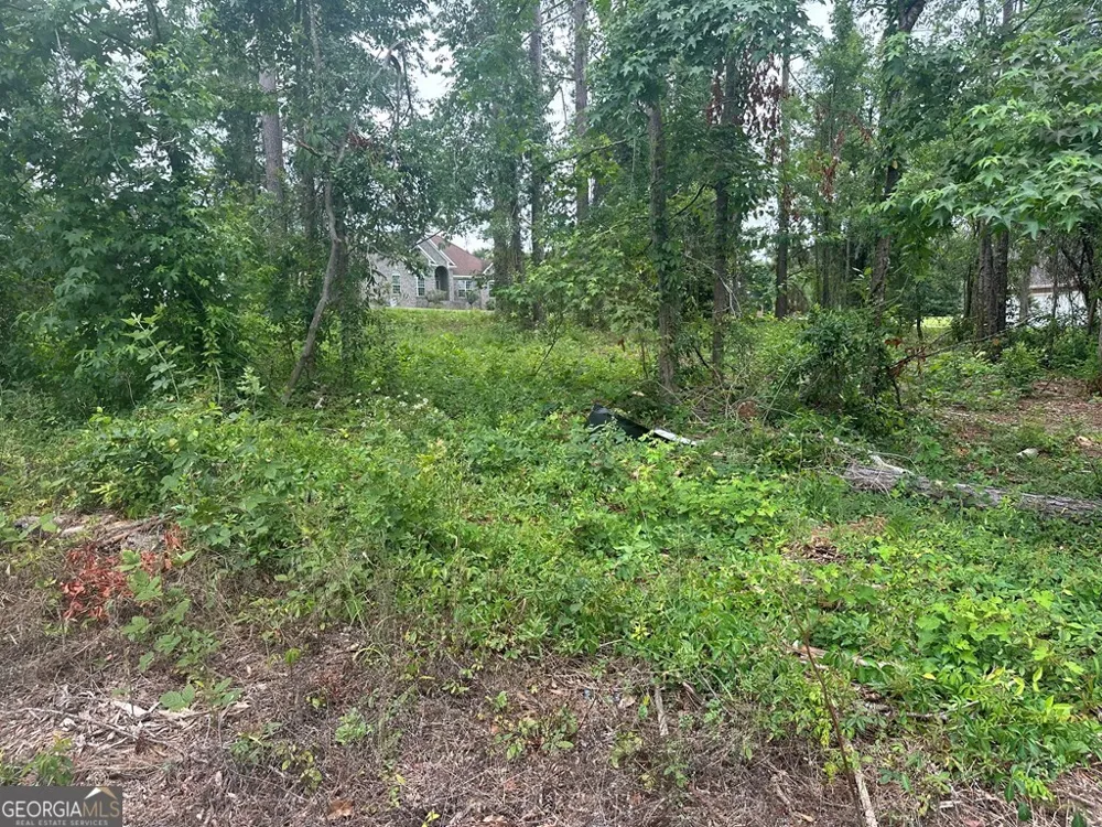 LOT 26 Cypress Lakes DR Lake Park, GA 31636