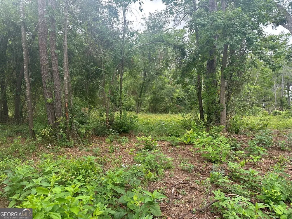 LOT 26 Cypress Lakes DR Lake Park, GA 31636