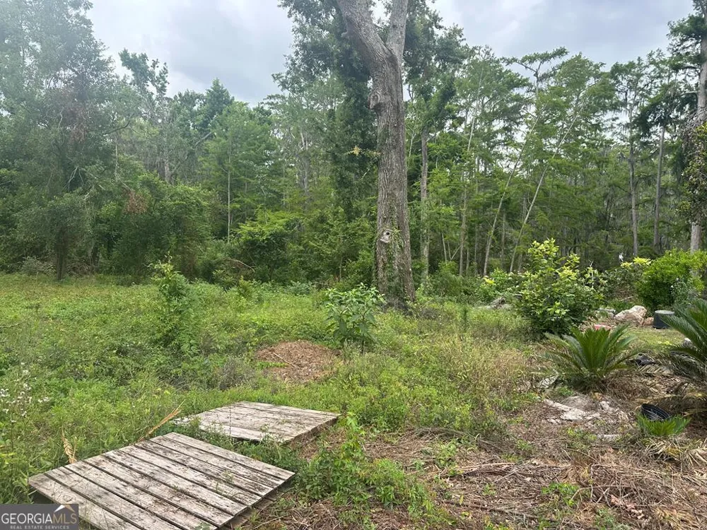 LOT 26 Cypress Lakes DR Lake Park, GA 31636