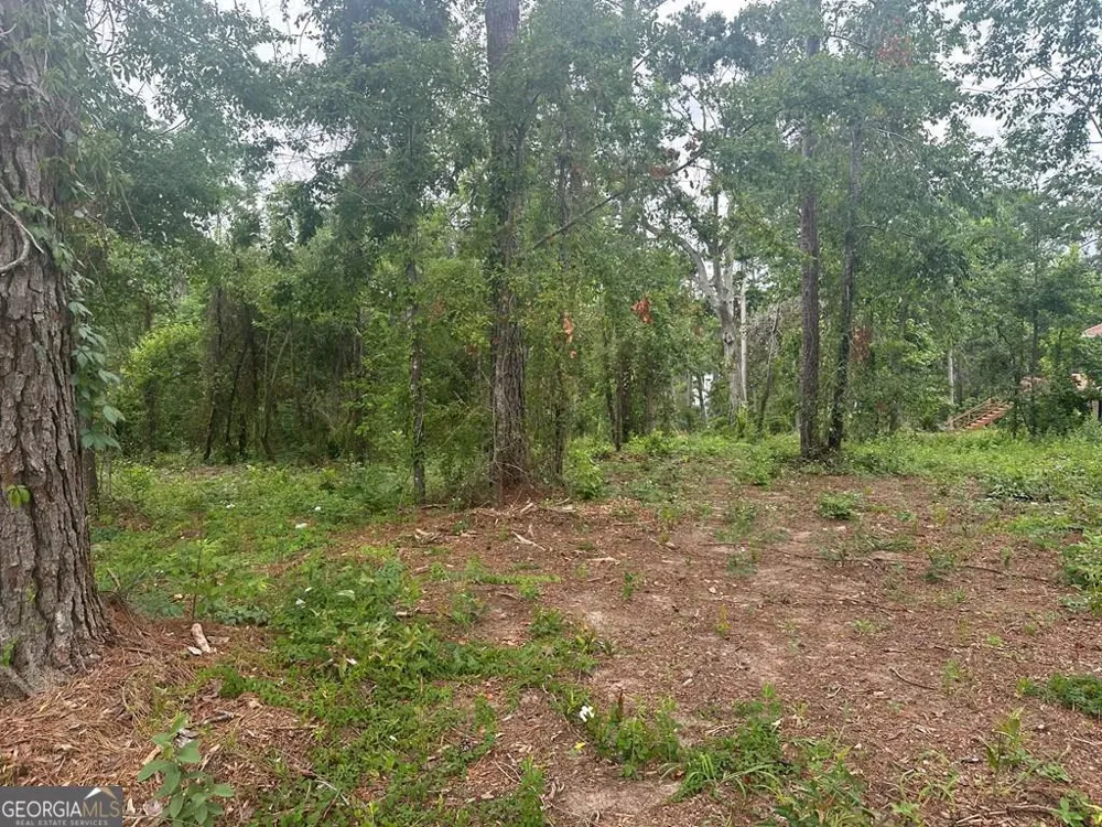 LOT 26 Cypress Lakes DR Lake Park, GA 31636