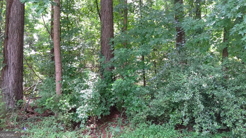 0 Cherie CT South Fulton, GA 30349