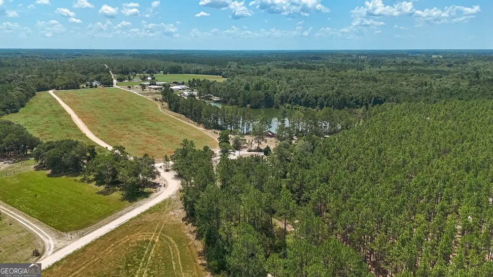 3733 Oak Hill RD Blackshear, GA 31516