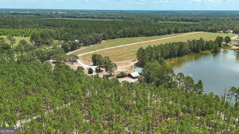 3733 Oak Hill RD Blackshear, GA 31516