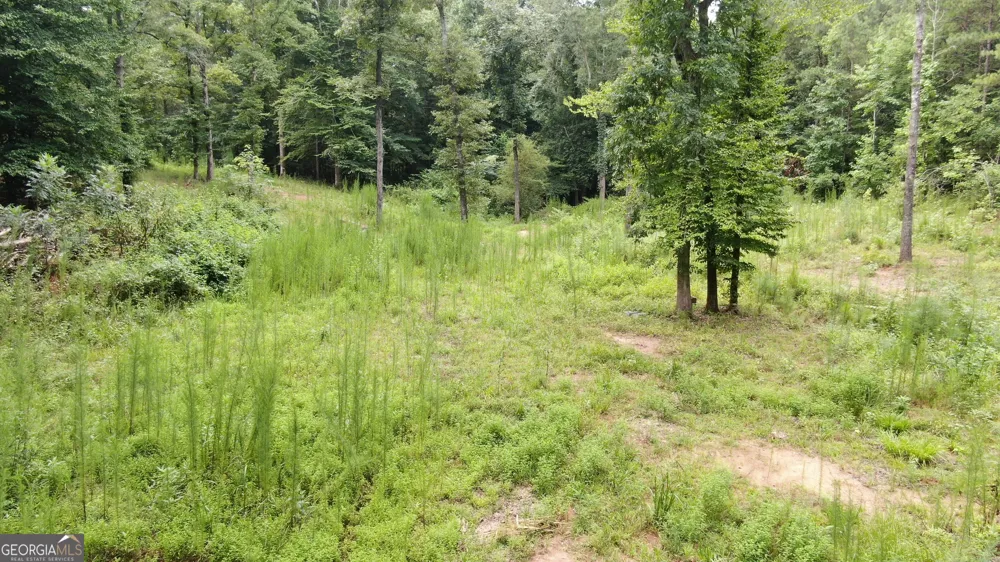 813 Jackson Lake RD Jackson, GA 30233