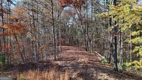 LOT 197 Springwinds DR