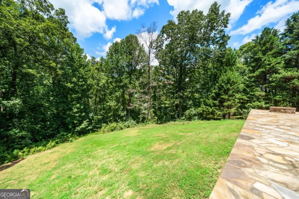 8805 Saddle TRL Ball Ground, GA 30107
