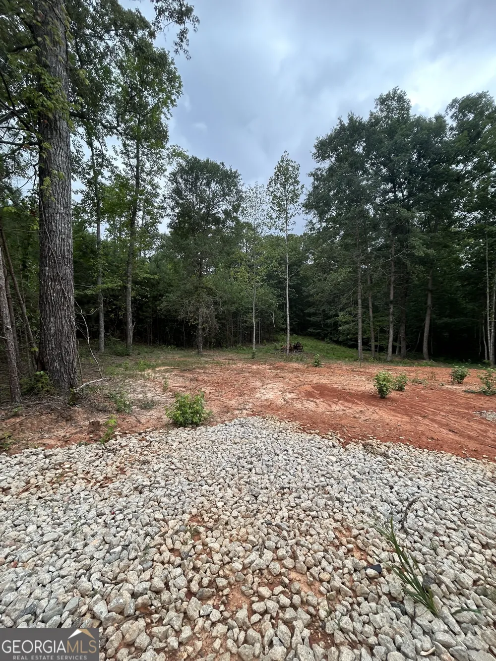 CR 79 Clark ST Roanoke, AL 36274