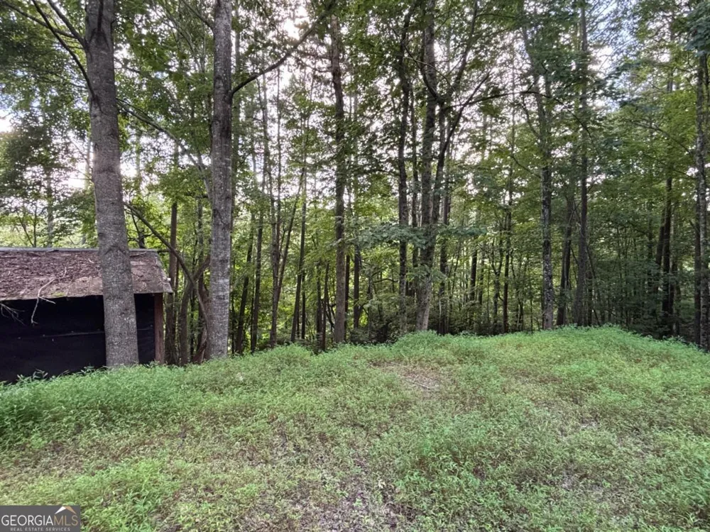 1163 Tipton Springs RD Morganton, GA 30560