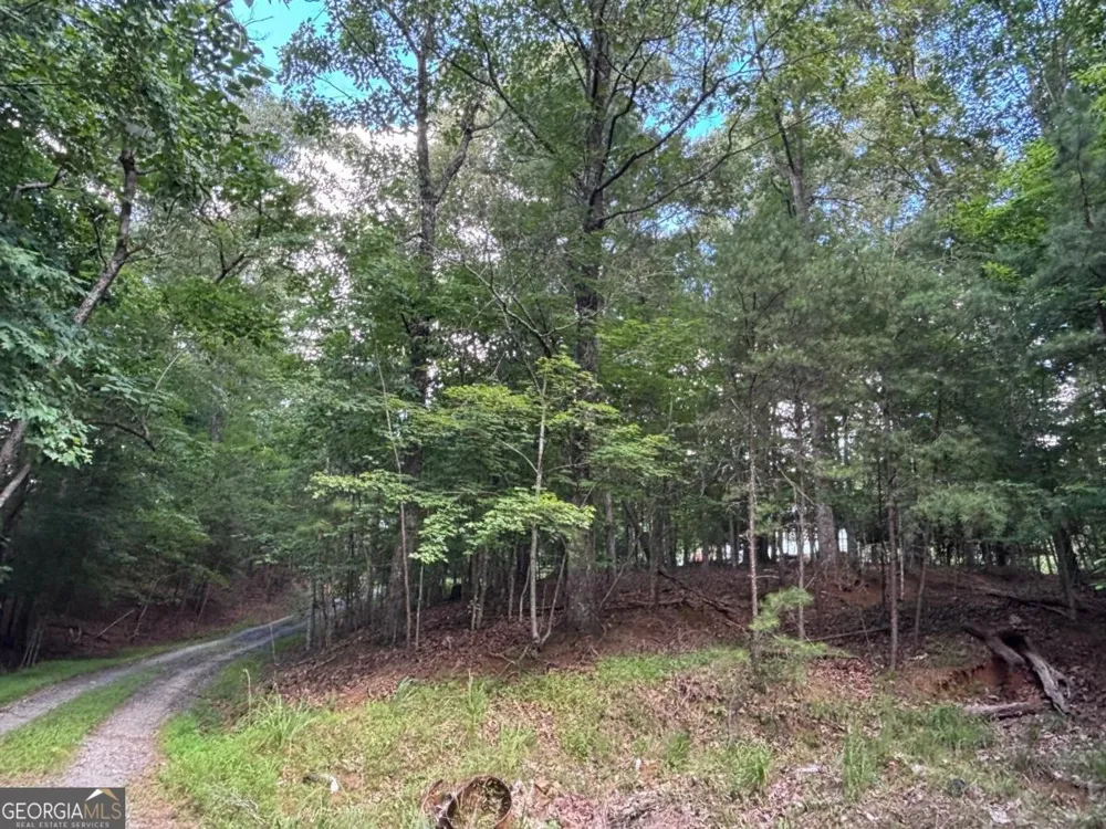 1163 Tipton Springs RD Morganton, GA 30560