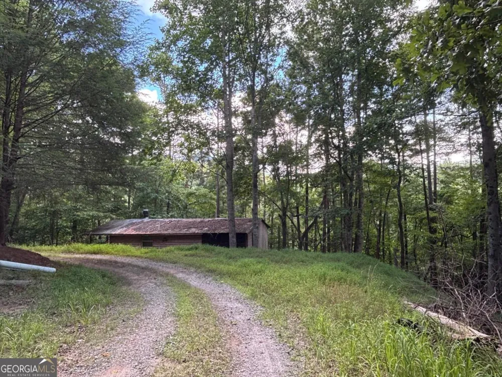 1163 Tipton Springs RD Morganton, GA 30560