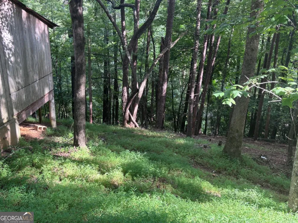 1163 Tipton Springs RD Morganton, GA 30560