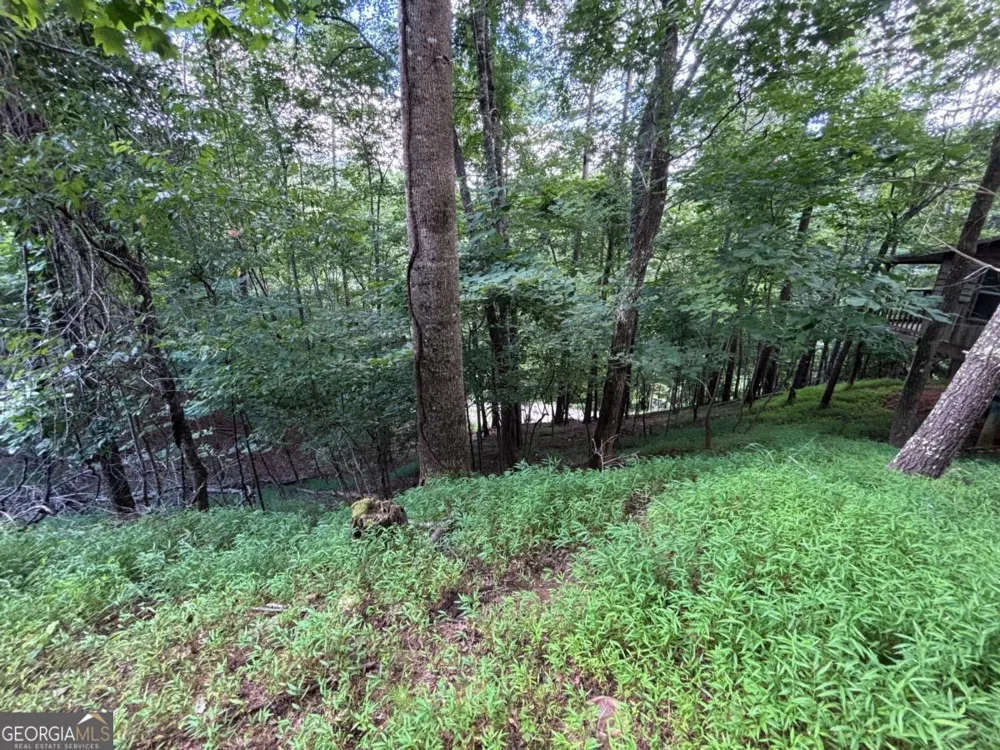 1163 Tipton Springs RD Morganton, GA 30560