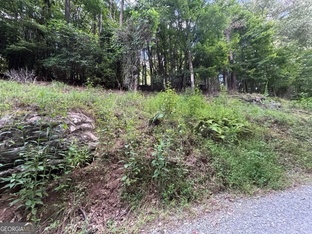 1163 Tipton Springs RD Morganton, GA 30560