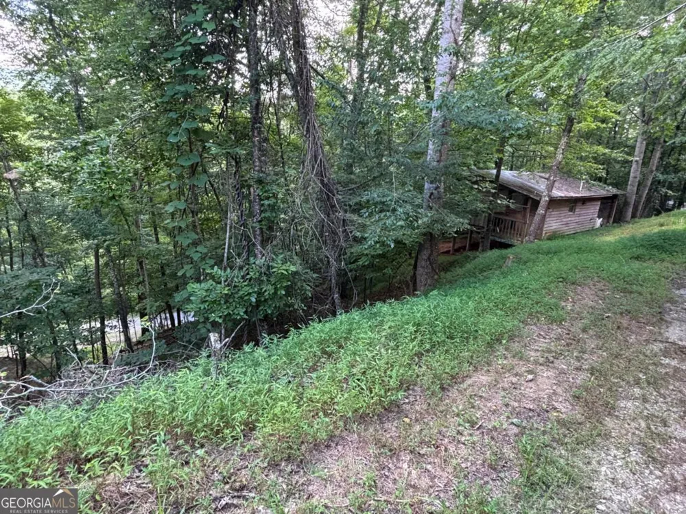 1163 Tipton Springs RD Morganton, GA 30560