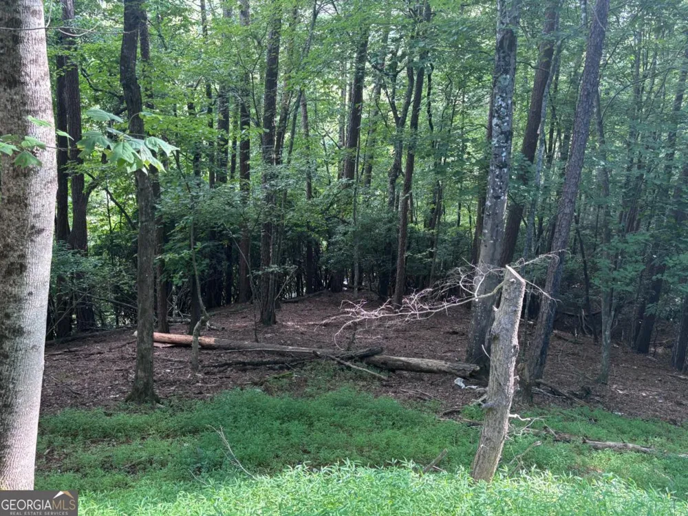 1163 Tipton Springs RD Morganton, GA 30560