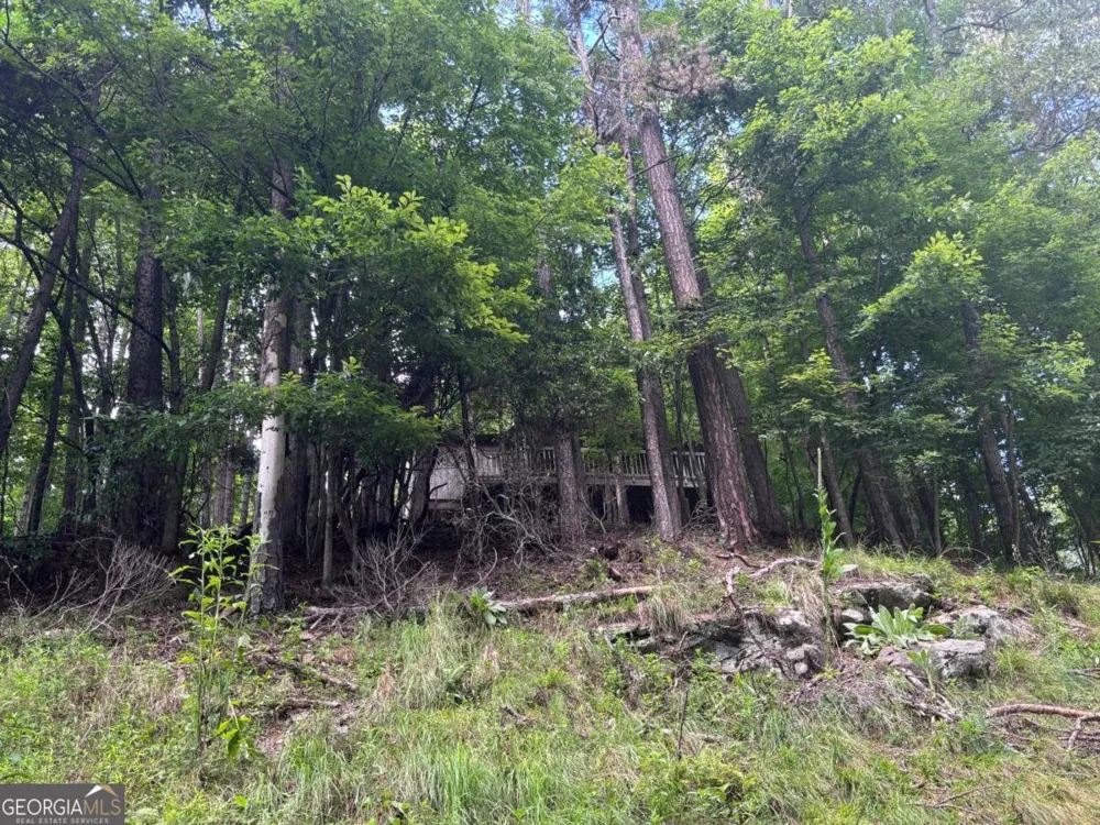 1163 Tipton Springs RD Morganton, GA 30560