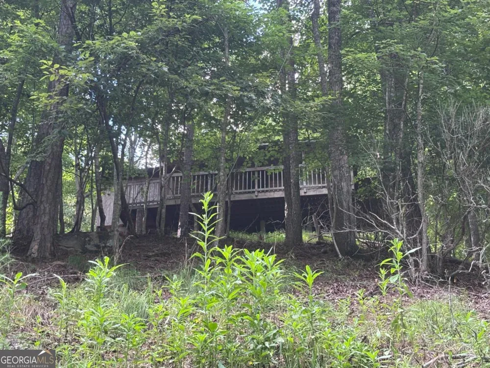 1163 Tipton Springs RD Morganton, GA 30560