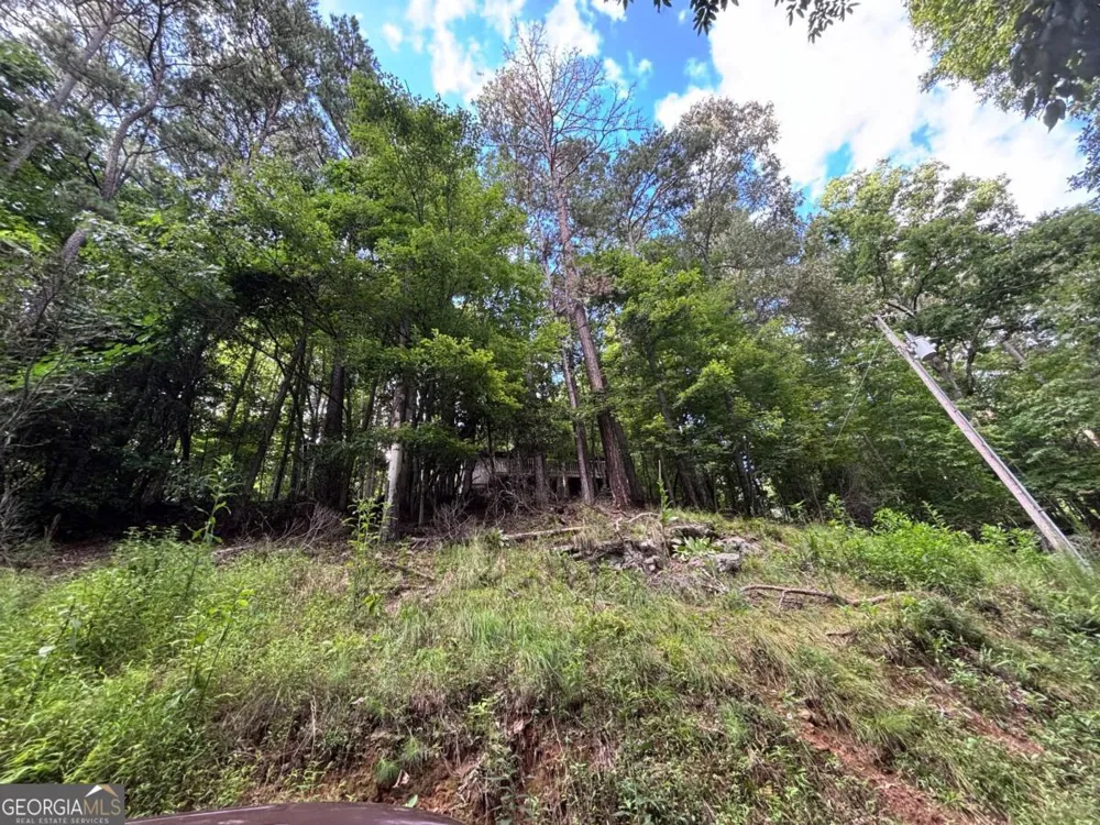 1163 Tipton Springs RD Morganton, GA 30560