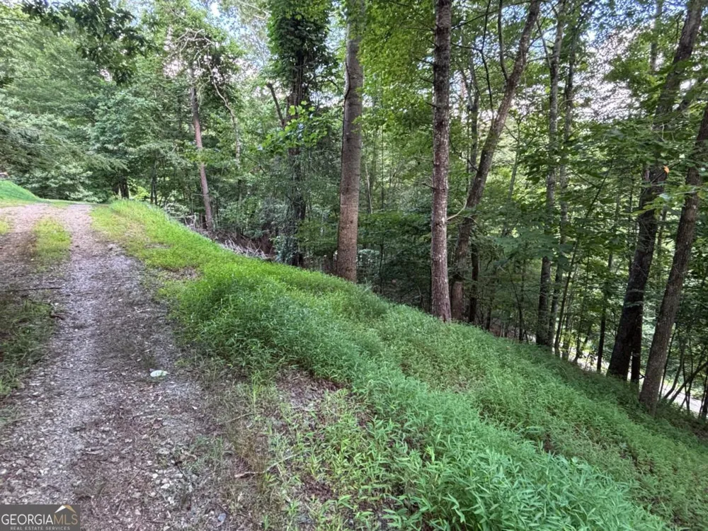 1163 Tipton Springs RD Morganton, GA 30560