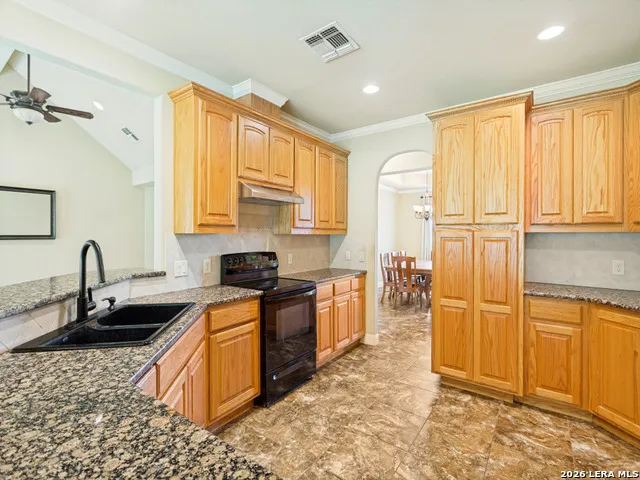 1117 Running Buck Ln Fredericksburg, TX 78624