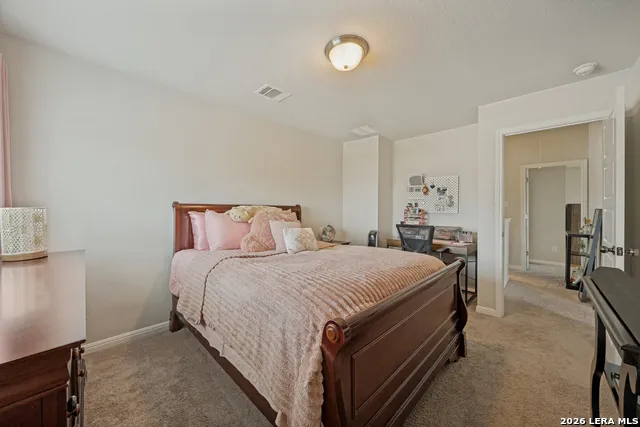 13302 ANTELOPE RUN St Hedwig, TX 78152