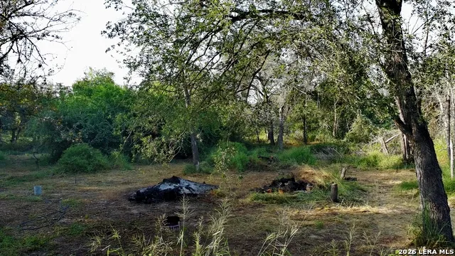 23798 MATHIS RD Elmendorf, TX 78112
