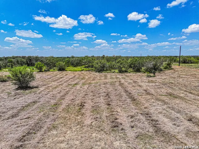 5984 FM 1107 Tract 2 Stockdale, TX 78160