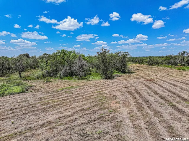 5984 FM 1107 Tract 2 Stockdale, TX 78160