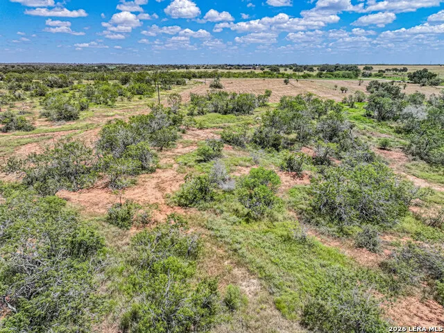 5984 FM 1107 Tract 1 Stockdale, TX 78160