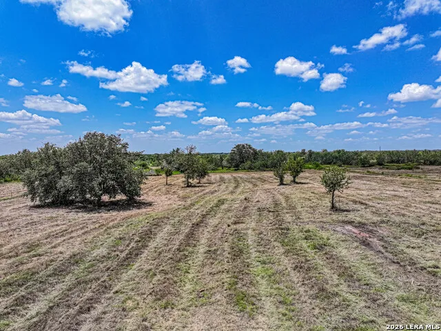 5984 FM 1107 Tract 1 Stockdale, TX 78160