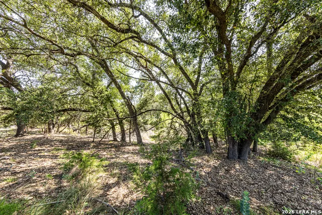 2610 River Way Spring Branch, TX 78070