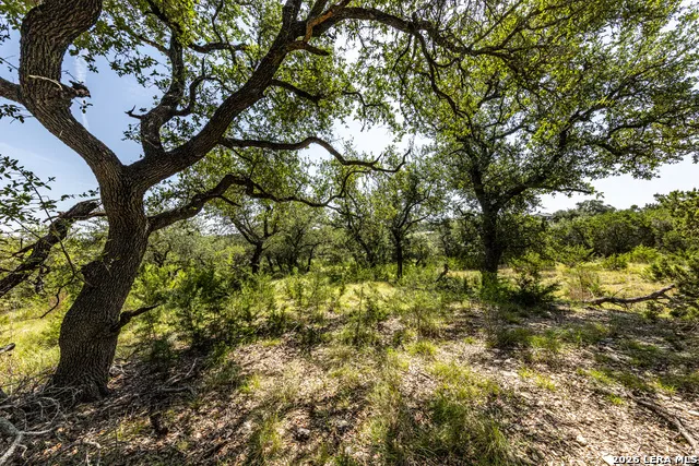2610 River Way Spring Branch, TX 78070