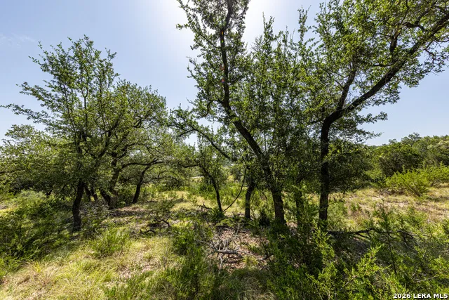2610 River Way Spring Branch, TX 78070