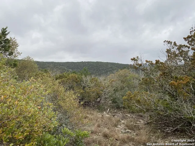 1595 Rim Rock Rd Camp Wood, TX 78833