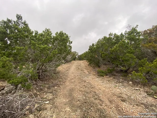 1595 Rim Rock Rd Camp Wood, TX 78833