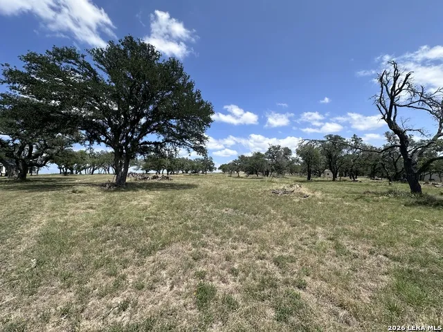 209 AXIS CIR Fredericksburg, TX 78624