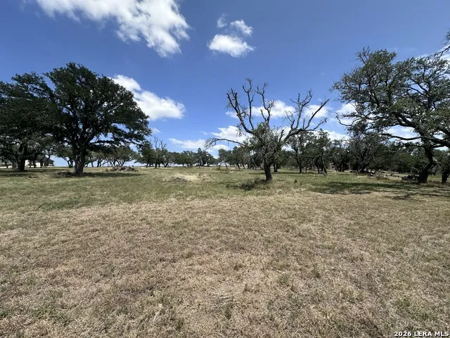 209 AXIS CIR Fredericksburg, TX 78624
