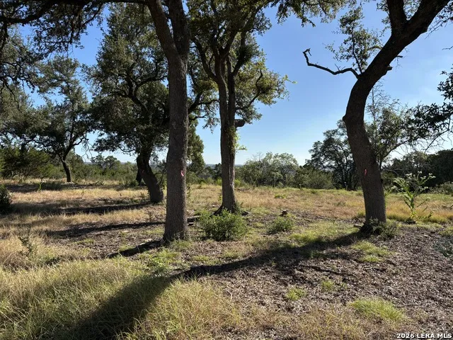 209 STARLING PASS Spring Branch, TX 78070