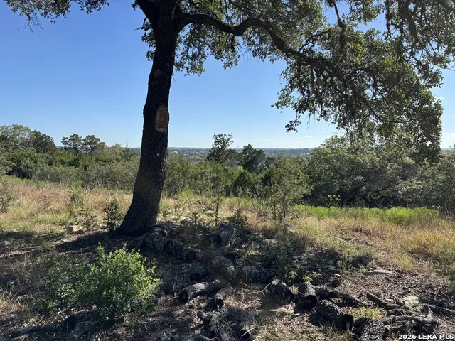 209 STARLING PASS Spring Branch, TX 78070
