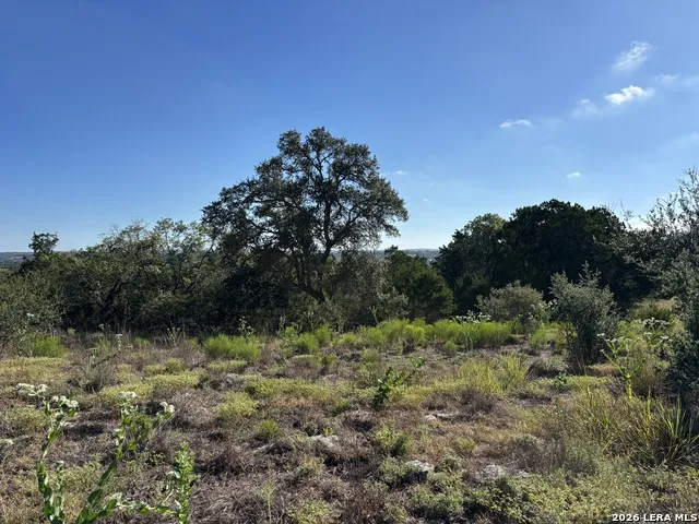209 STARLING PASS Spring Branch, TX 78070