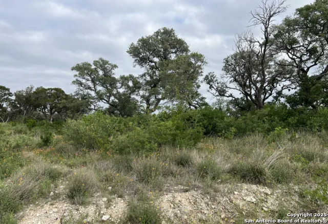TBD PR 2771 Mico, TX 78056