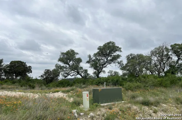 TBD PR 2771 Mico, TX 78056
