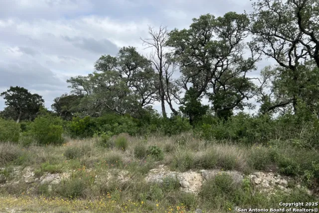 TBD PR 2771 Mico, TX 78056