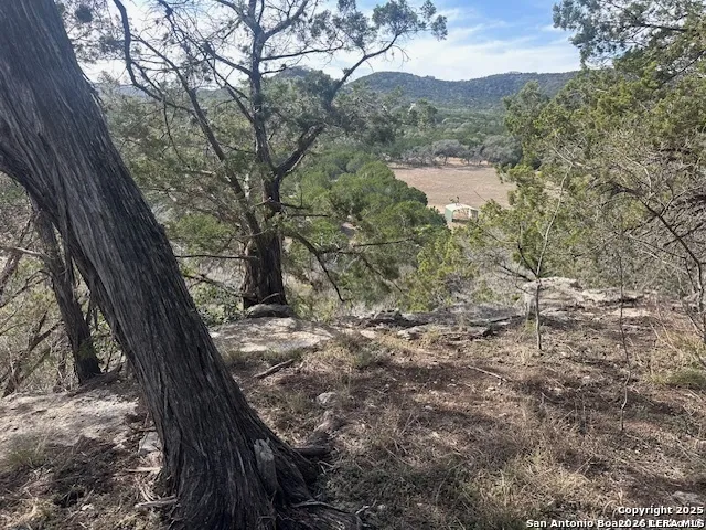 000 E Bear Springs Pipe Creek, TX 78063
