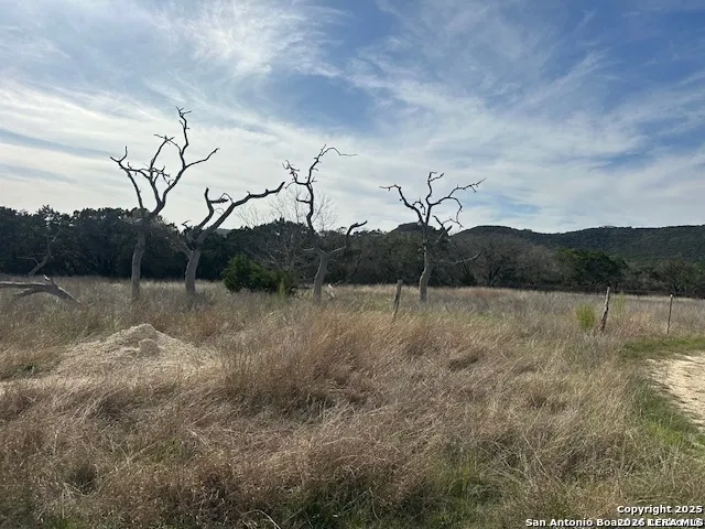 000 E Bear Springs Pipe Creek, TX 78063
