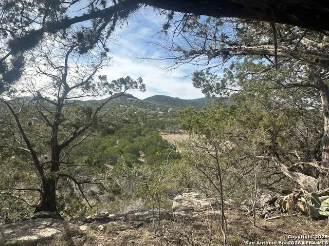 000 E Bear Springs Pipe Creek, TX 78063